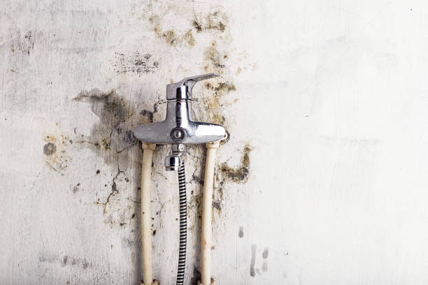 Best Office Mold Removal Services  in Del Rey Oaks, CA