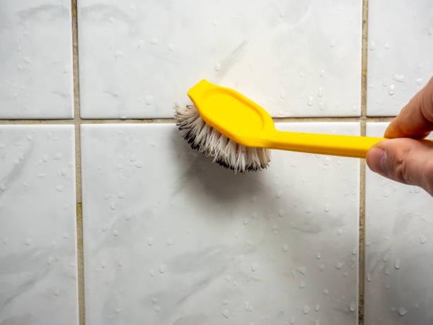  Del Rey Oaks, CA Mold Removal Pros