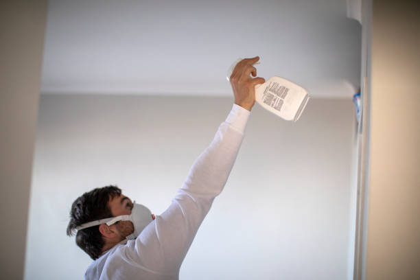 Best Fast Mold Removal  in Del Rey Oaks, CA