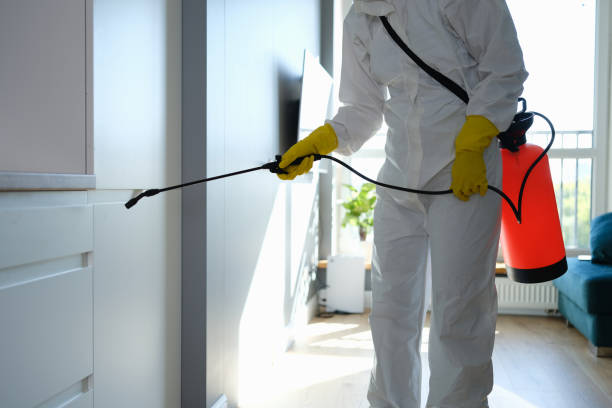 Best Certified Mold Removal  in Del Rey Oaks, CA