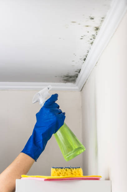 Best Emergency Mold Removal  in Del Rey Oaks, CA